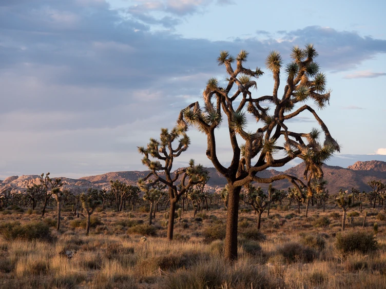 Explore the West USA Tour - 13